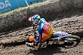 FOX_3102