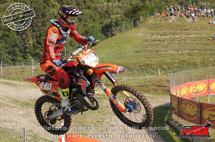 FOX_2906.JPG