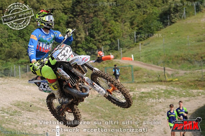 FOX_2948.JPG