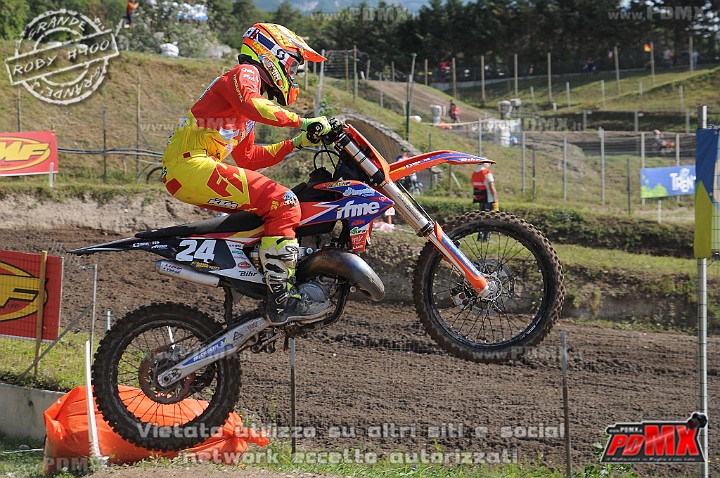 FOX_2954.JPG
