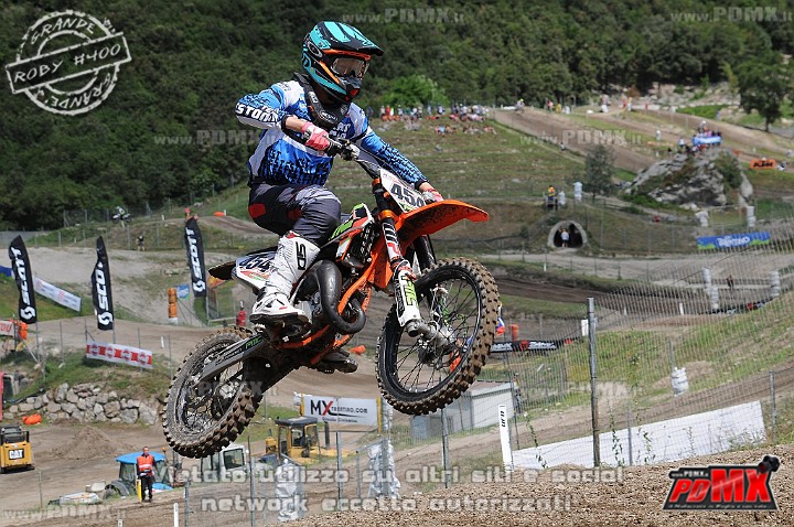FOX_3018.JPG