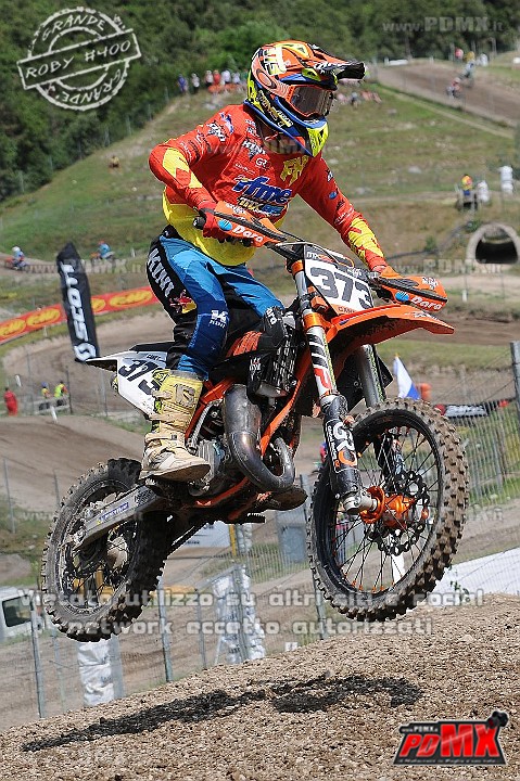 FOX_3019.JPG