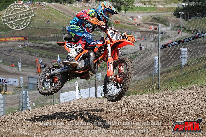 FOX_3023.JPG