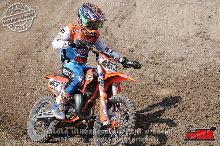 FOX_3032.JPG