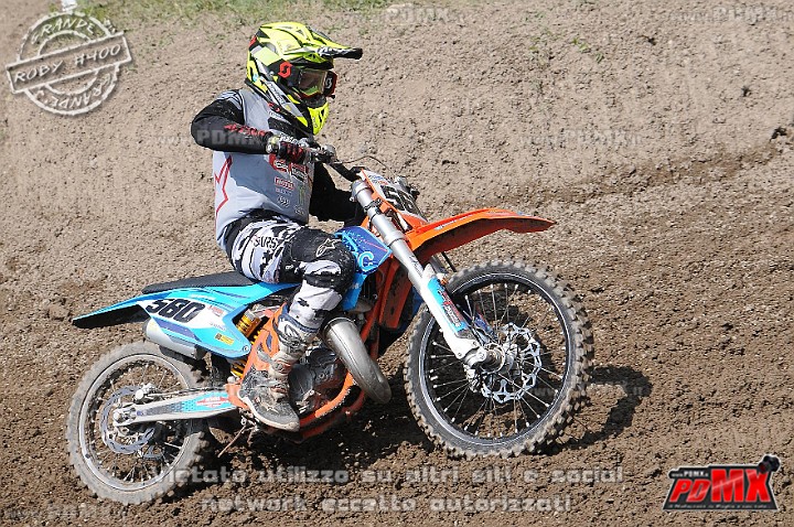 FOX_3037.JPG