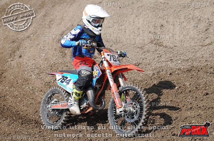 FOX_3038.JPG
