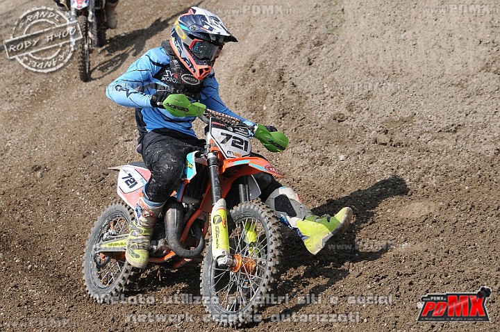 FOX_3040.JPG