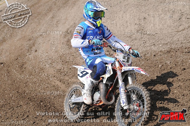 FOX_3041.JPG