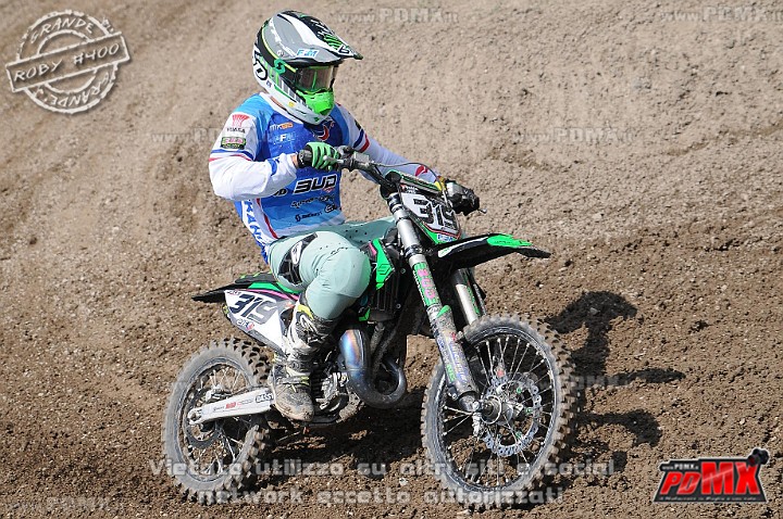FOX_3046.JPG