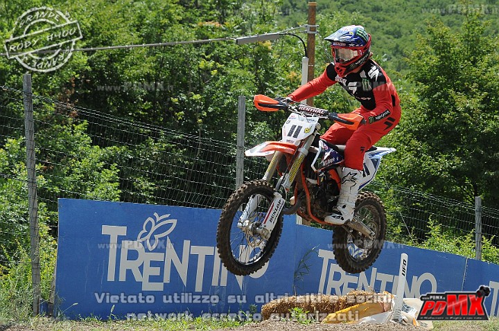 FOX_3072.JPG