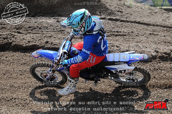 FOX_3118.JPG
