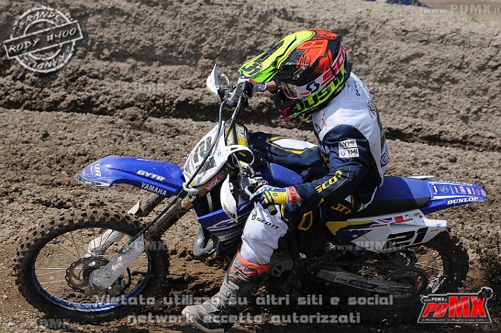 FOX_3139.JPG