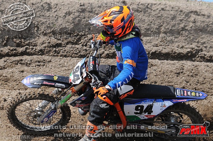 FOX_3141.JPG