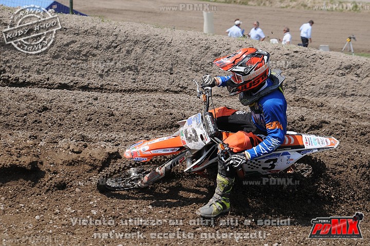 FOX_3142.JPG