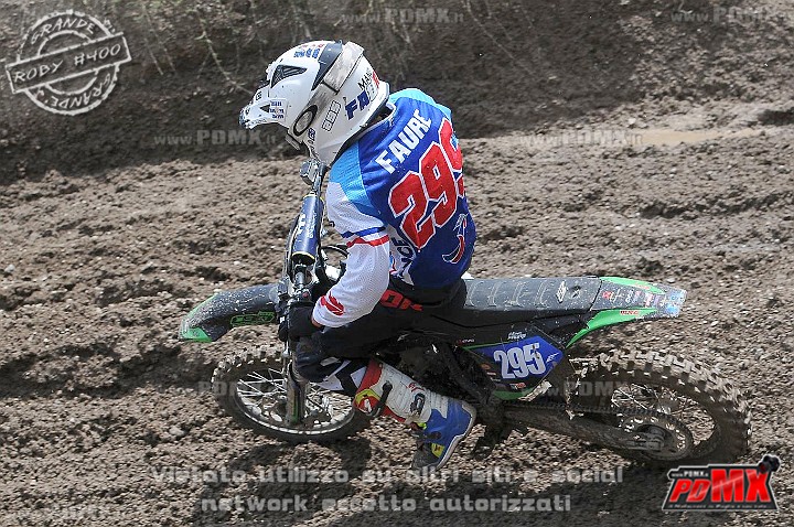 FOX_3164.JPG