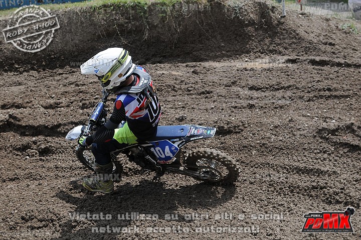 FOX_3165.JPG