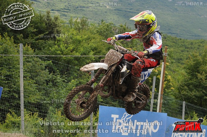 FOX_3174.JPG