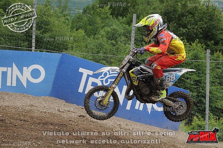 FOX_3192.JPG
