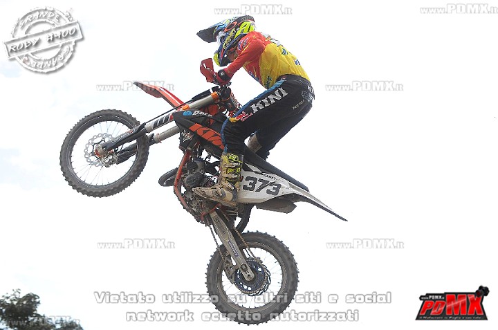 FOX_3231.JPG