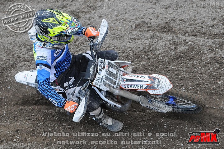 FOX_3248.JPG