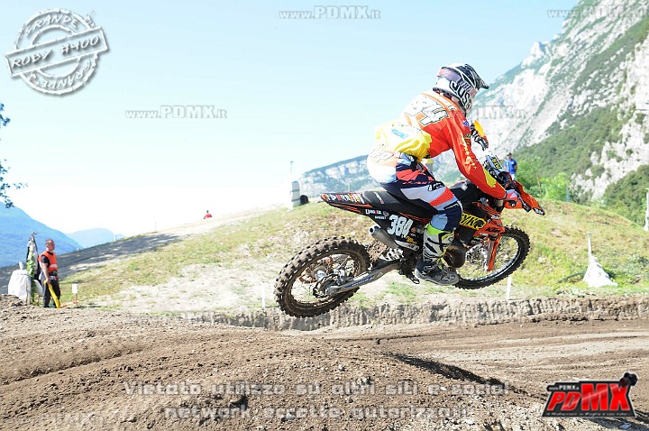 FOX_3303.JPG