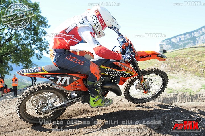 FOX_3311.JPG