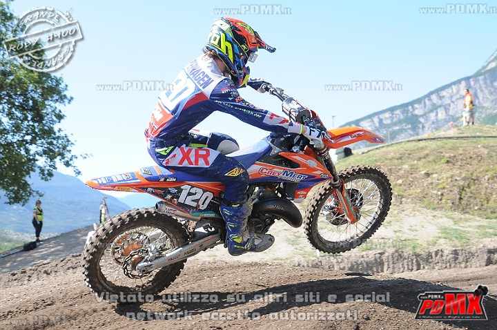 FOX_3328.JPG