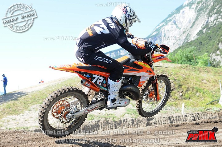 FOX_3334.JPG