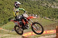 FOX_2931