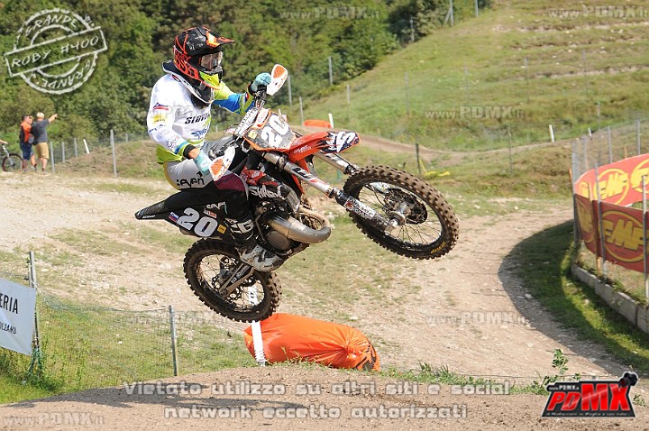 FOX_2917.JPG
