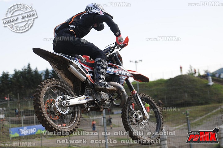 FOX_2929.JPG