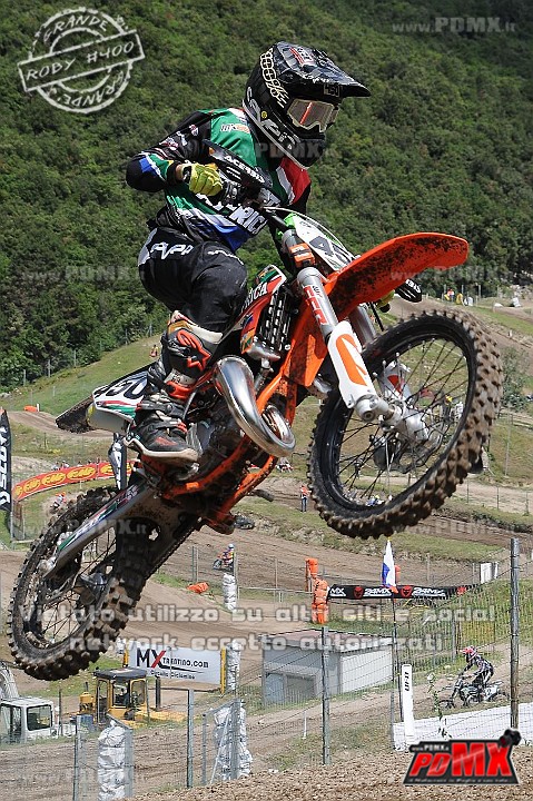 FOX_3002.JPG