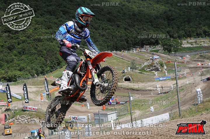 FOX_3007.JPG