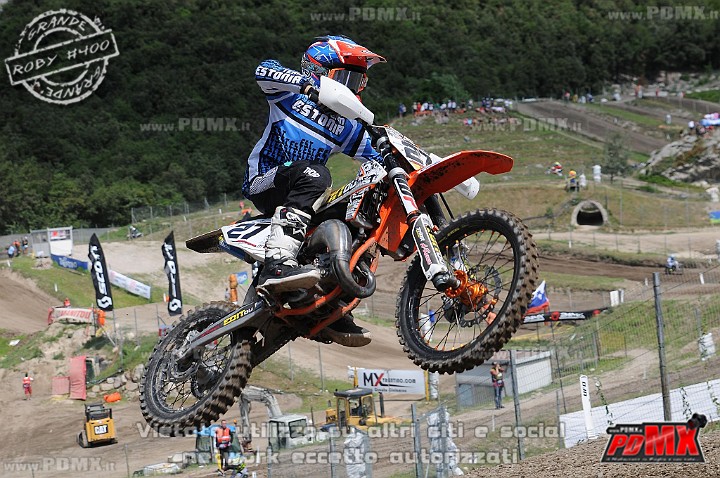 FOX_3021.JPG