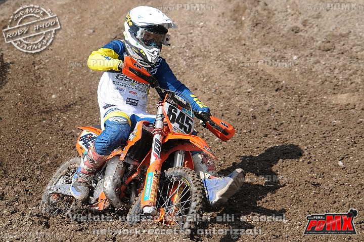 FOX_3029.JPG