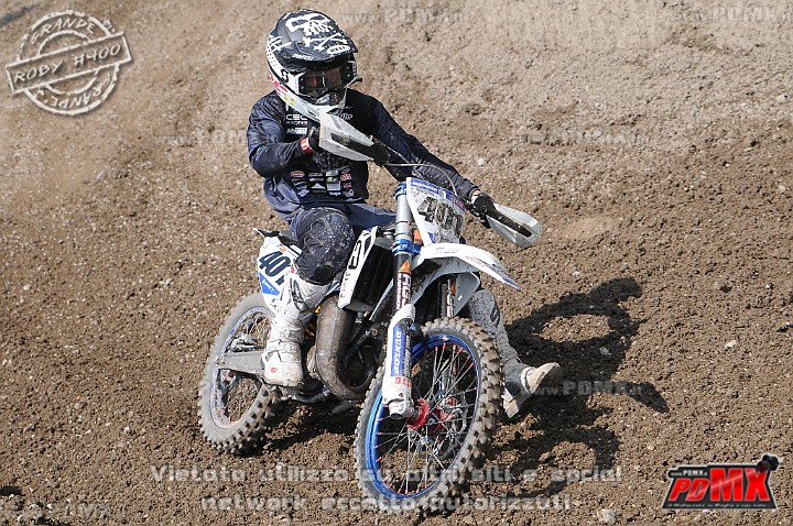 FOX_3033.JPG