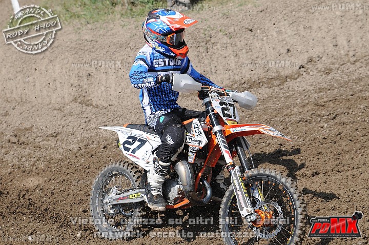 FOX_3036.JPG