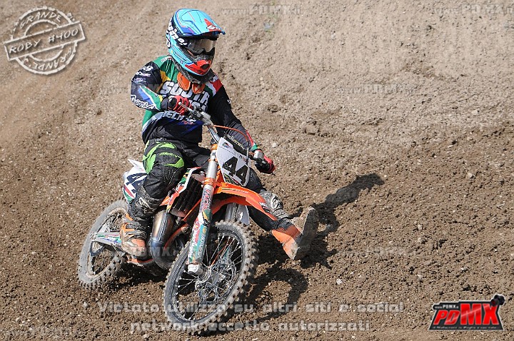 FOX_3047.JPG
