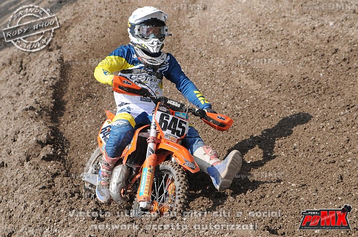 FOX_3053.JPG