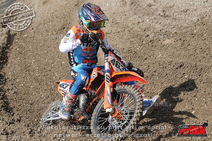 FOX_3058.JPG