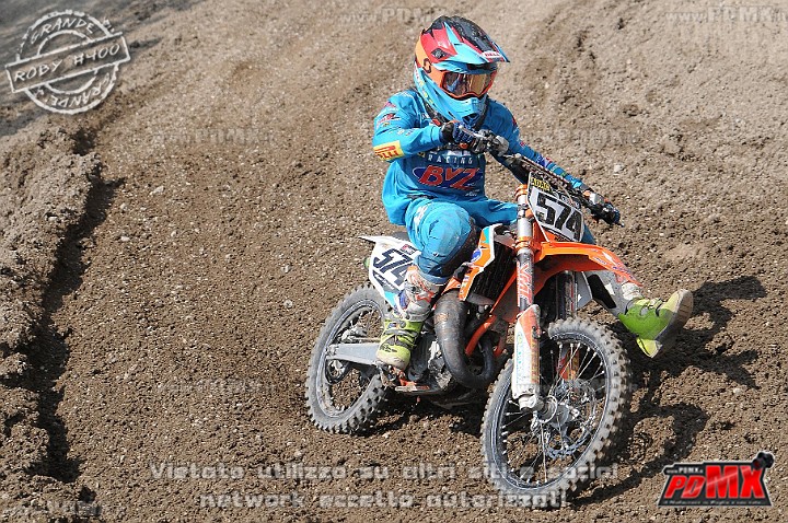 FOX_3060.JPG