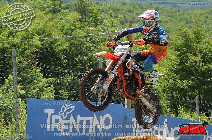 FOX_3079.JPG
