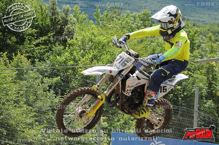 FOX_3080.JPG