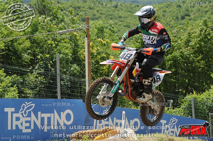 FOX_3088.JPG
