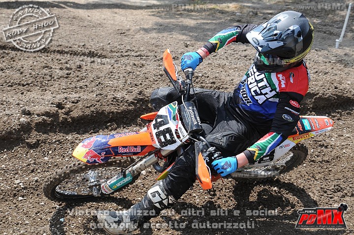 FOX_3111.JPG