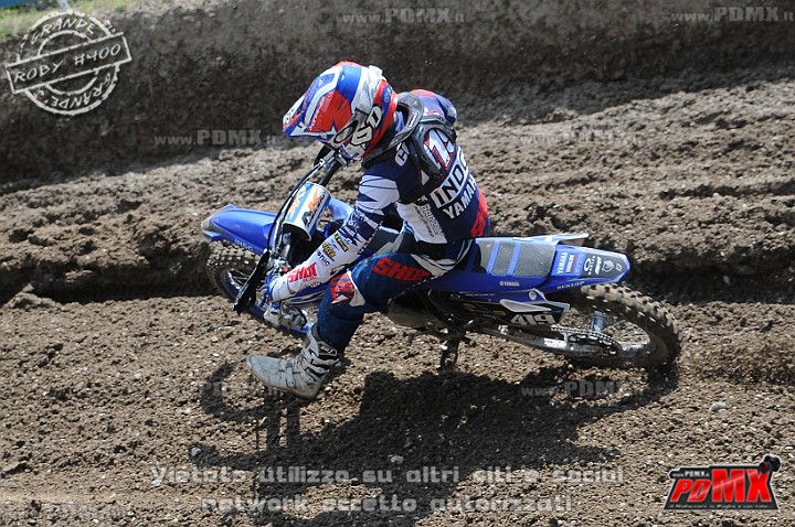 FOX_3115.JPG