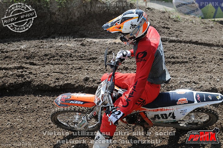 FOX_3116.JPG