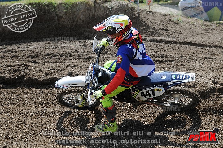 FOX_3117.JPG