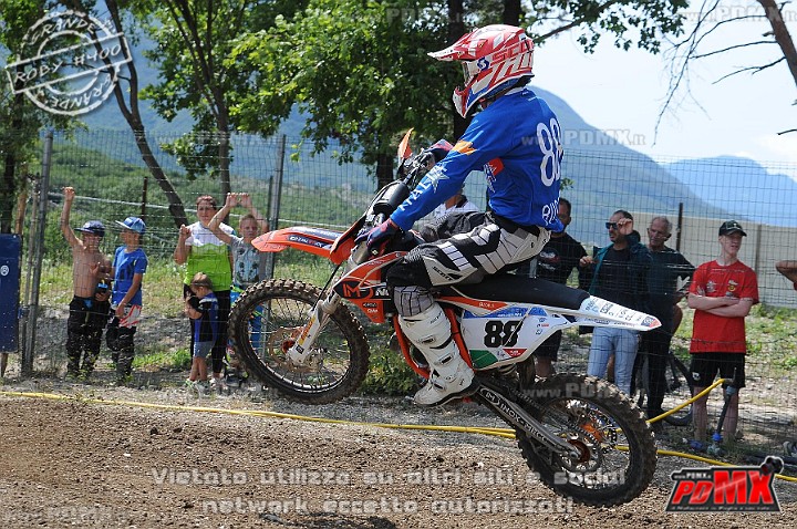 FOX_3132.JPG