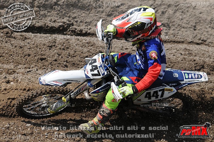 FOX_3135.JPG